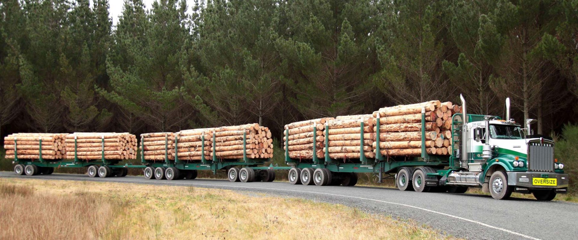 Holztransport der Superlative
